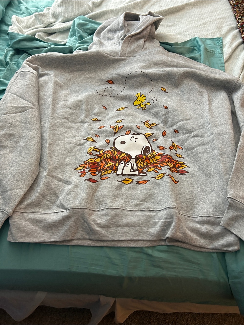 Insight Gray Crewneck Hoodie with Snoopy & Woodstock Fall Graphic